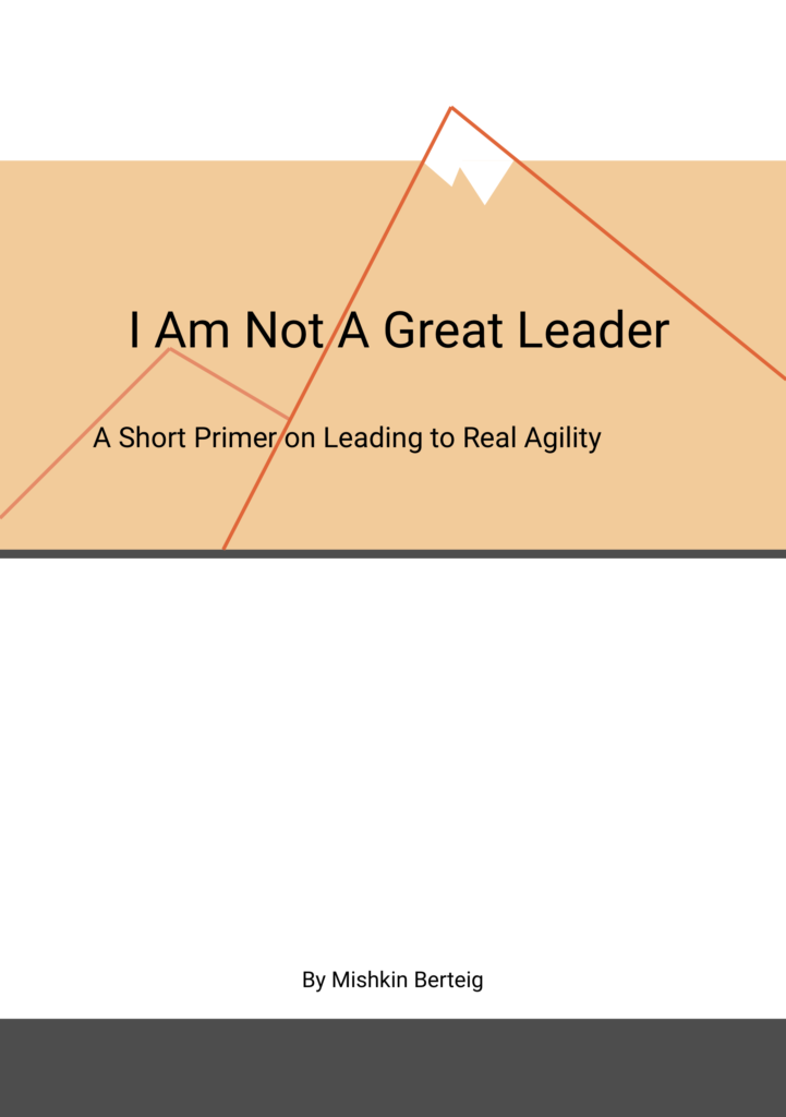 I Am Not A Great Leader - Cover